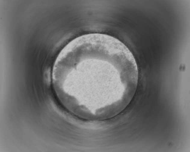 X0000112090020200909151147
