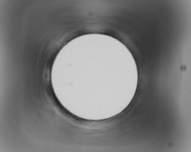 X0000112090021200909151146