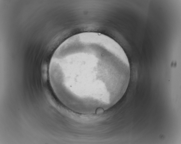 X0000112090022200909151146