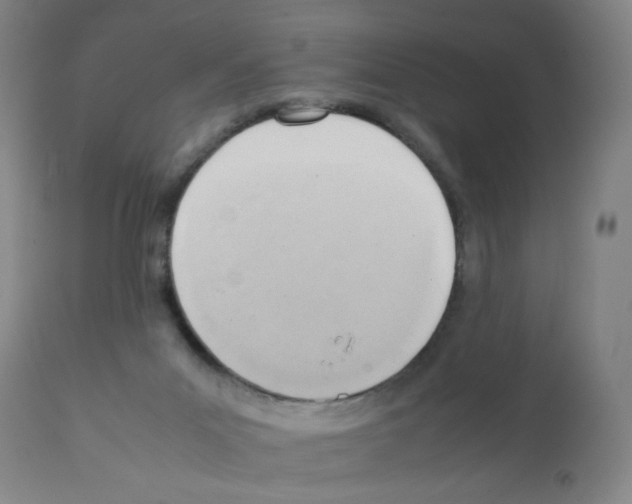 X0000112090023200909151146