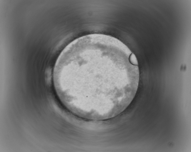 X0000112090024200909151146