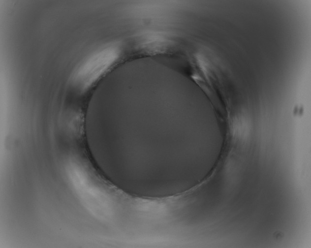 X0000112090029200909151146
