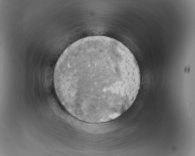 X0000112090030200909151146