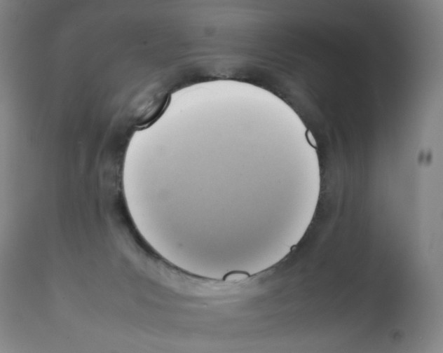 X0000112090031200909151146