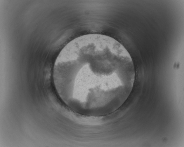 X0000112090032200909151146