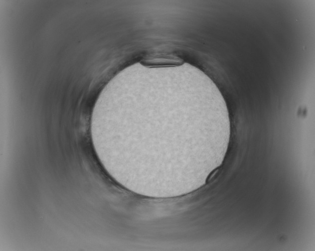 X0000112090033200909151146