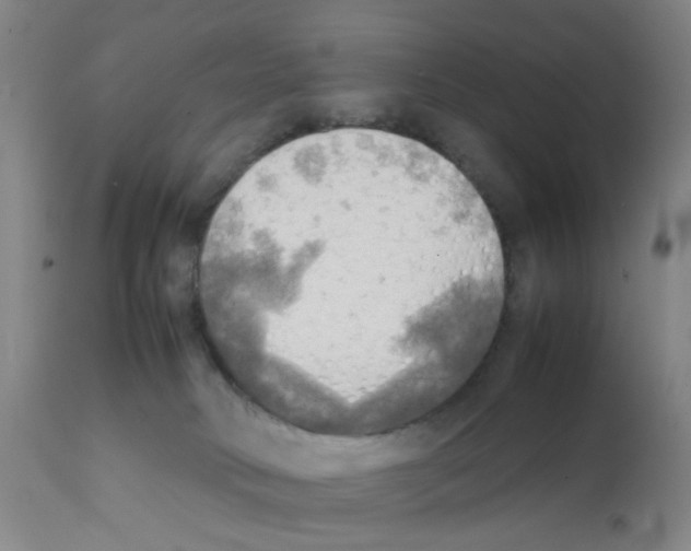 X0000112090034200909151146