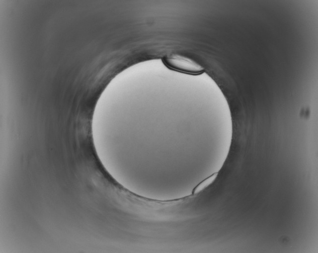 X0000112090035200909151146