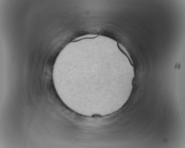 X0000112090037200909151146
