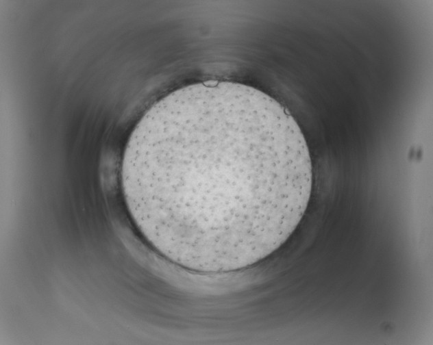 X0000112090038200909151146
