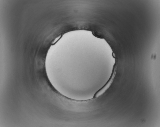X0000112090039200909151146