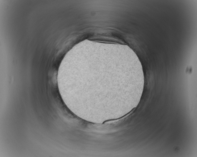 X0000112090041200909151146