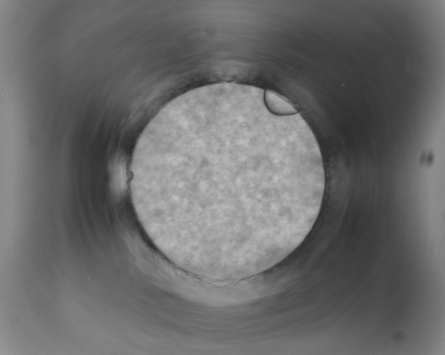 X0000112090042200909151146