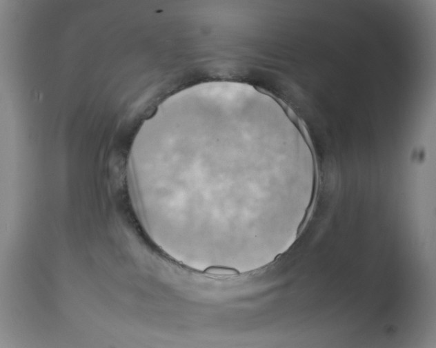 X0000112090043200909151146