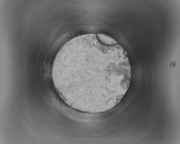 X0000112090044200909151146