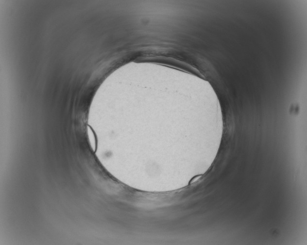 X0000112090045200909151146