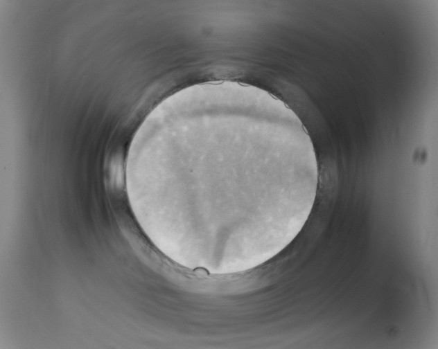 X0000112090046200909151146