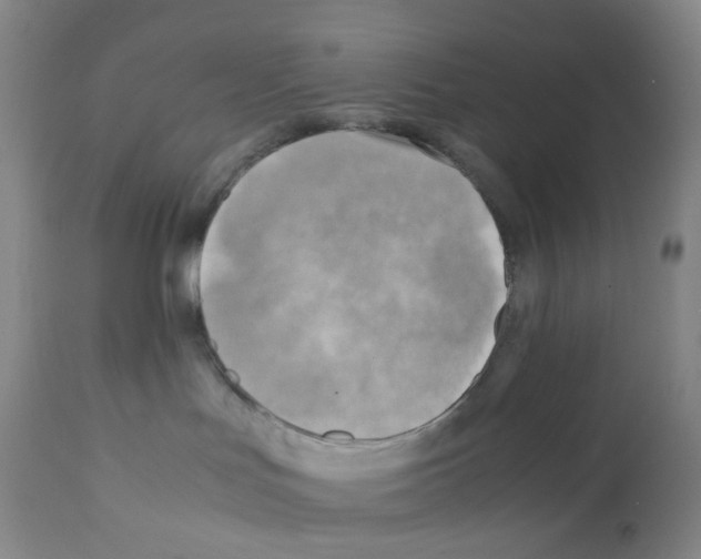 X0000112090047200909151146