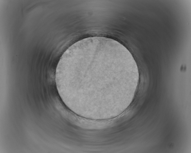 X0000112090048200909151146