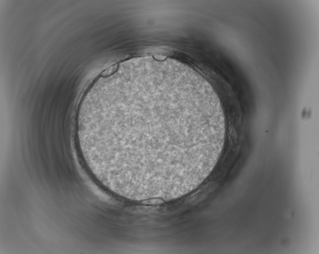 X0000112090049200909151145