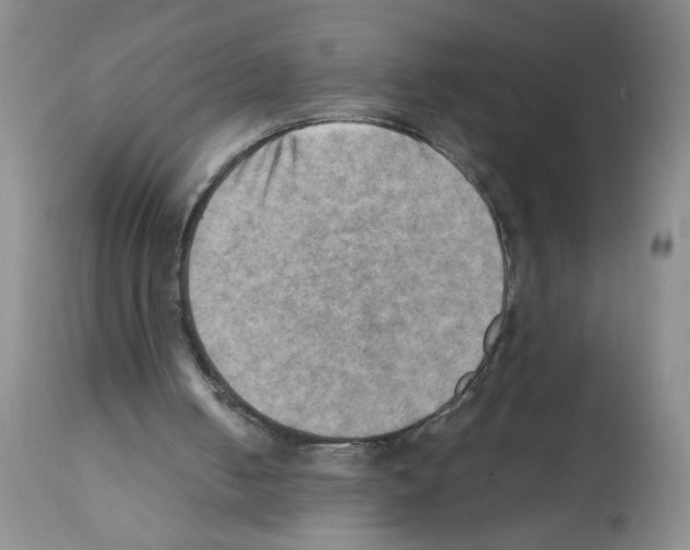 X0000112090050200909151145