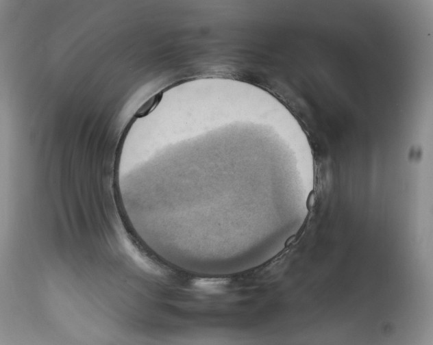 X0000112090051200909151145
