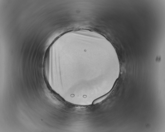 X0000112090052200909151146