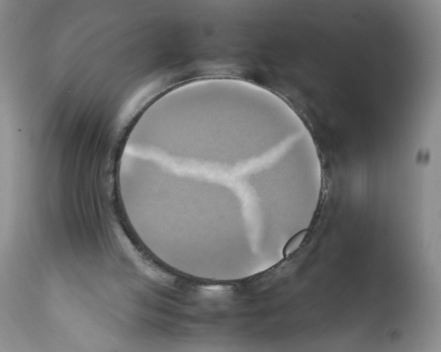 X0000112090053200909151146