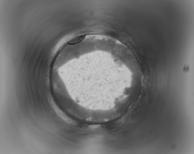 X0000112090054200909151146