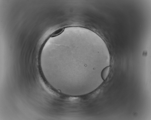 X0000112090055200909151146