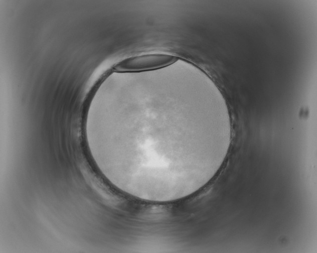 X0000112090056200909151146