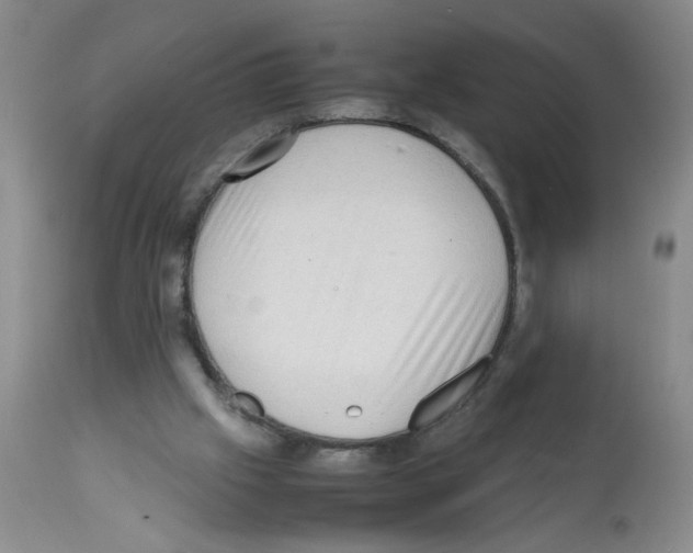X0000112090057200909151146