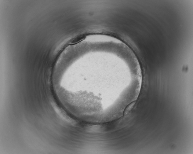 X0000112090058200909151146