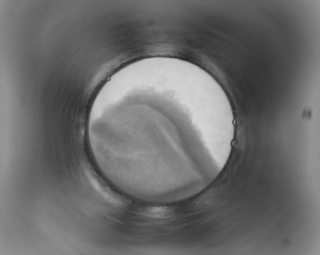 X0000112090059200909151146
