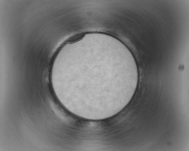X0000112090060200909151146