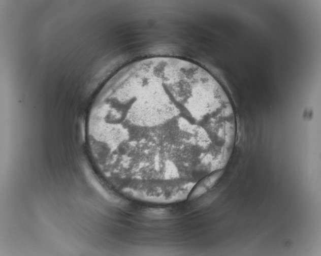 X0000112090061200909151146