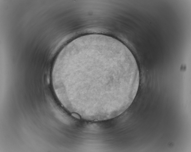 X0000112090062200909151146