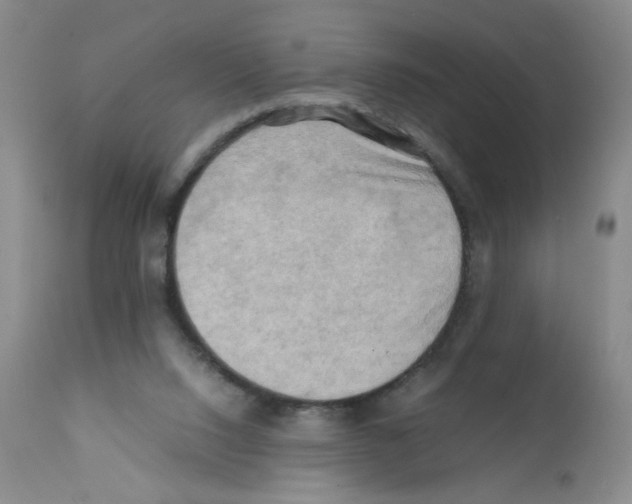 X0000112090064200909151146