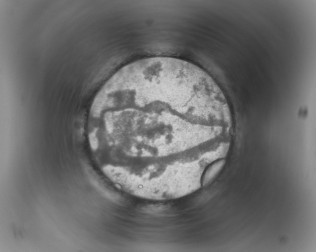 X0000112090065200909151146