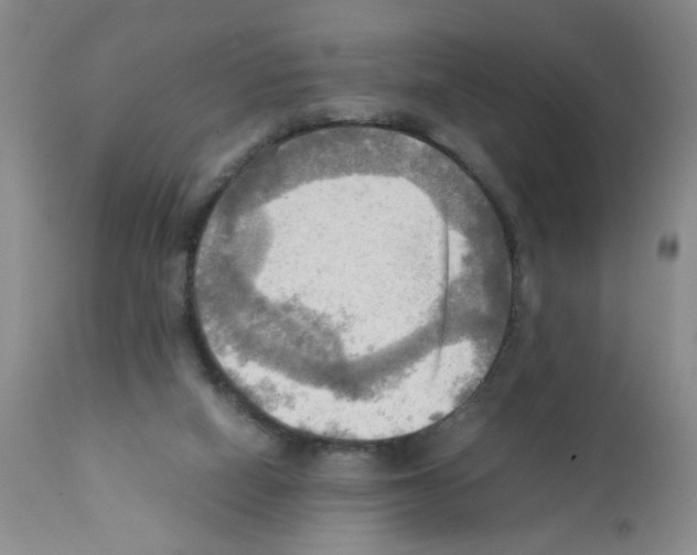 X0000112090066200909151146