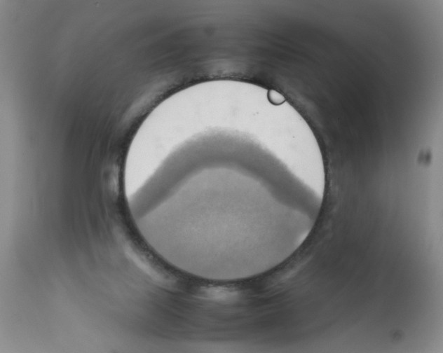 X0000112090067200909151146