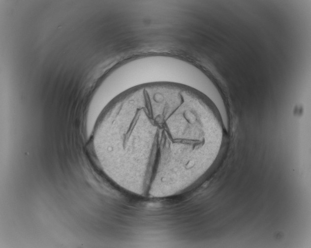 X0000112090068200909151146