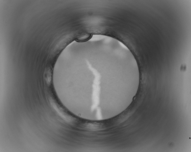 X0000112090069200909151146