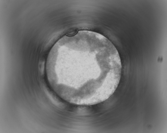 X0000112090070200909151146