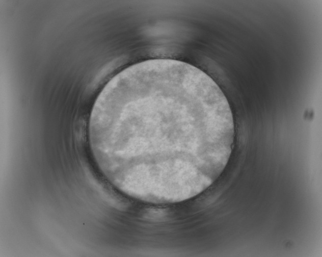 X0000112090071200909151146