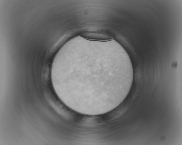 X0000112090072200909151146