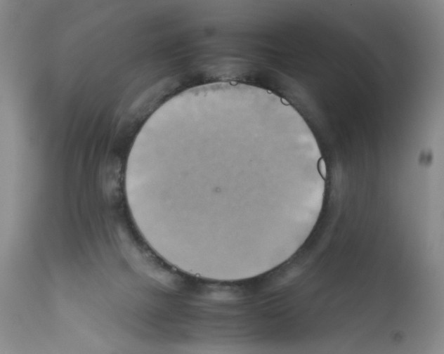 X0000112090073200909151146