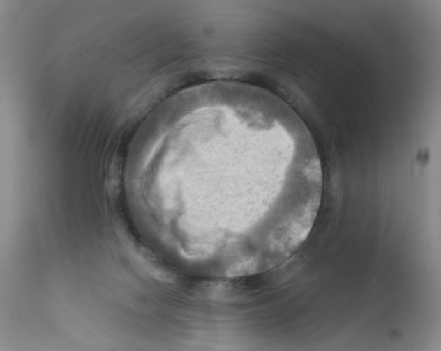 X0000112090074200909151146