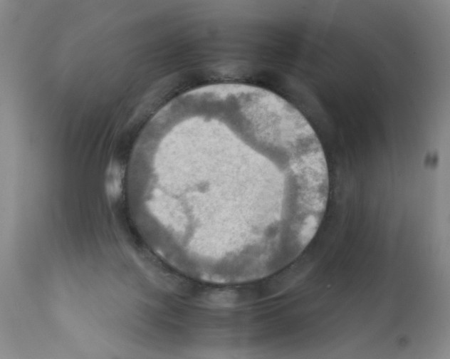X0000112090075200909151146