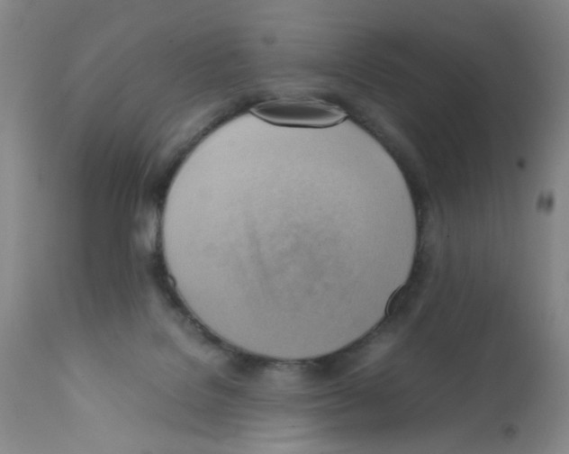 X0000112090076200909151146